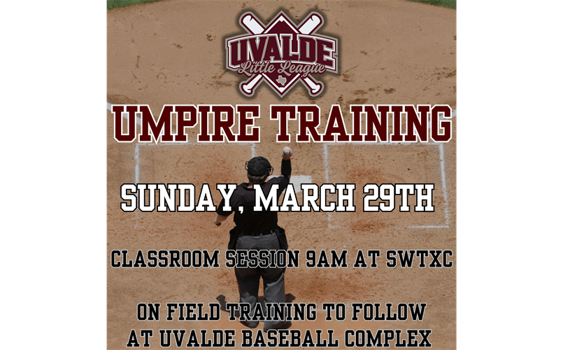 Umpire Training